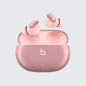Beats True Wireless Earbuds with Charging Case Hover Image
